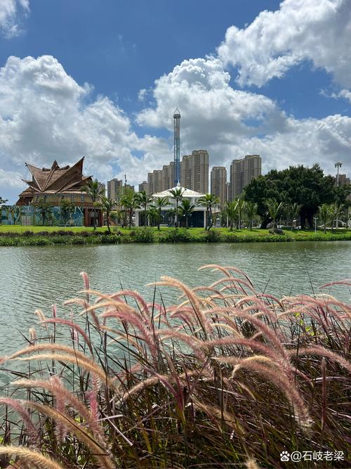 新乐园即将启幕 工程进入最后调试阶段，设施细节引人期待